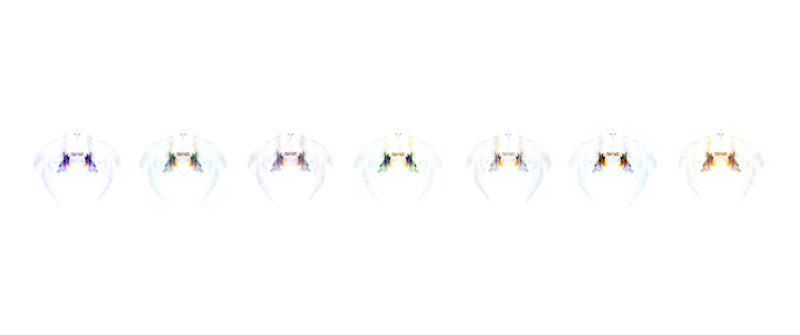 Symmetry